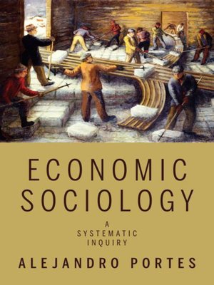 cover image of Economic Sociology
